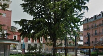 Interventi arboricolturali sui cedri di Piazza Aldo Moro e Piazza della Repubblica